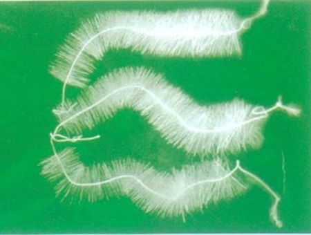 點(diǎn)擊查看詳細(xì)信息<br>標(biāo)題：TL型立體彈性填料 閱讀次數(shù)：6614